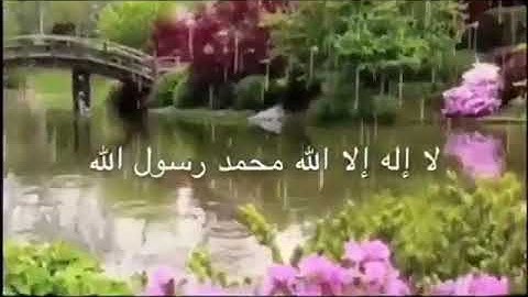 تلاوة رائعة من آيات الذكر الحكيم مع ذكر الله