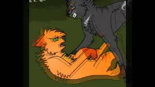 MEP Parts 28+29 For MegKingo