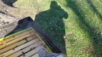 My hive is now ready for winter! Candy board and quilt box