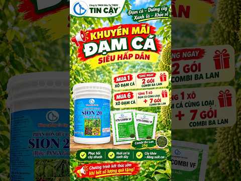 ĐẠM CÁ PANGA GOLD NGUỒN DINH DƯỠNG HỮU CƠ SIÊU AN TOÀN