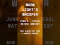 Warm Light's Whisper - tribal rhythms