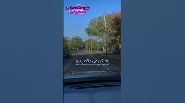 #qurankareem #peaceful #تلاوة_خاشعة #طمأنينة_القرآن #راحة_نفسية #اكسبلور