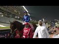 DUBAI WORLD CUP 2019 THUNDER SNOW
