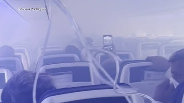 Plane makes emergency landing after bird strikes engine, causes fire
