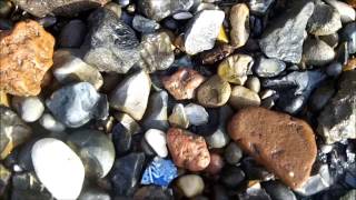 Mudlarking on the River Thames, London