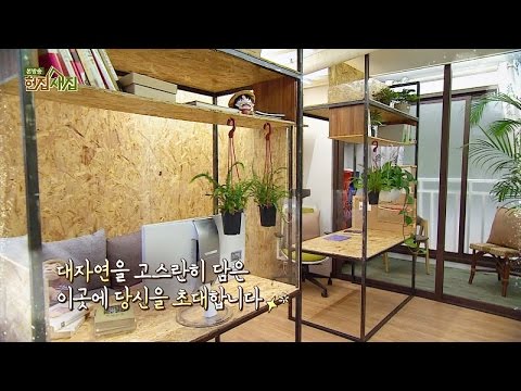 스트레스 해소! 대자연을 고스란히 담은 김도현&허경환 쇼룸 B 헌집줄게 새집다오 33회