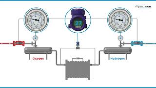 Electrolyzer Emergency Shutdown Valves