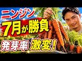 【ニンジン】発芽率が激変！プランター栽培の正しい始め方！【家庭菜園】