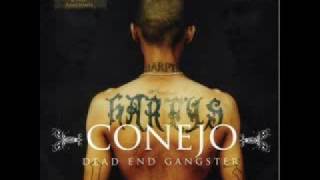 Famous Conejo-One Tone Stone Net Worth