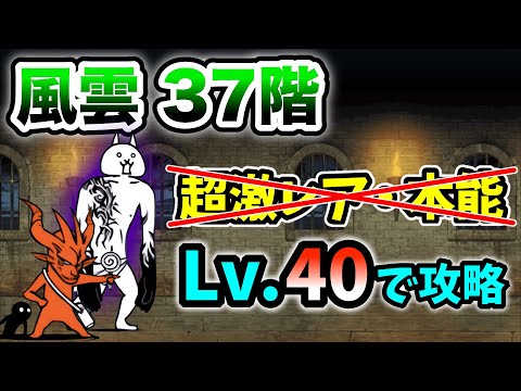 風雲にゃんこ塔37階 超激レアなし&本能なし レベル40以下で簡単攻略