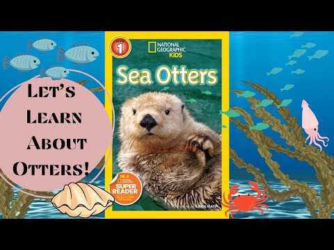 Sea Otters Kids Book Read Aloud Non Fiction Books 