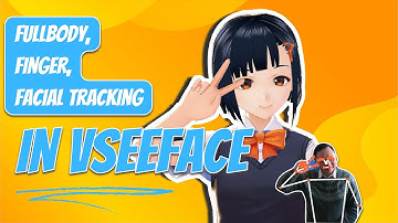 Fullbody Motion Capture from Dollars MoCap Products to VSeeFace using VMC protocol