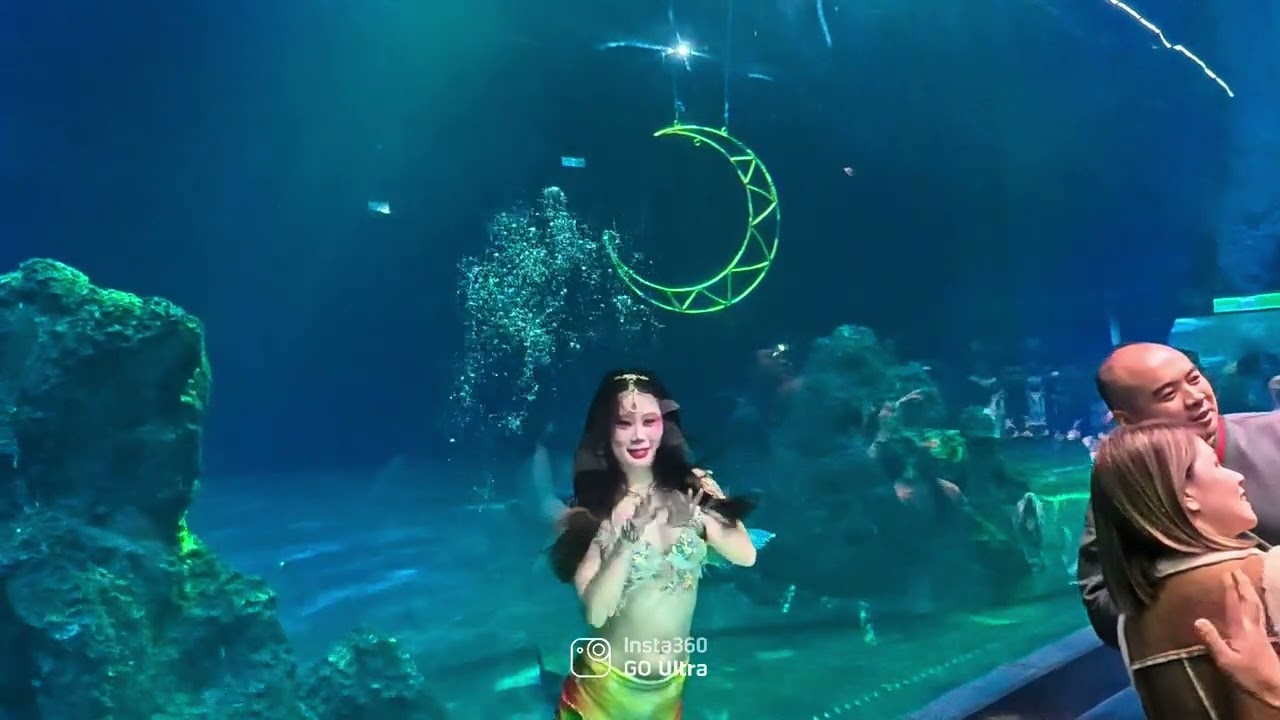 遠雄公園美人魚￼表演秀結束