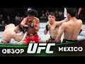 ОБЗОР UFC FN: Брэндон Морено - Стив Эрцег | Мануэль Торрес, Дрю Добер, Рауль Росас Мл., Эдгар Чайрез