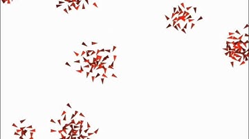 Flocking algorithm
