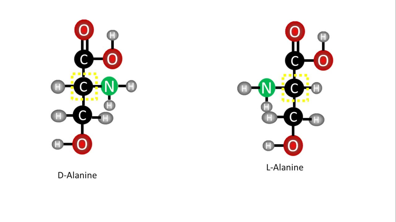 Biochemistry D and L Enantiomers of amino acids YouTube