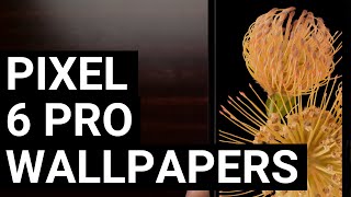 Download the Stock Google Pixel 6 Pro Wallpapers Free Here screenshot 5