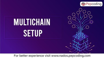 Multichain Setup | Blockchain | In Hindi