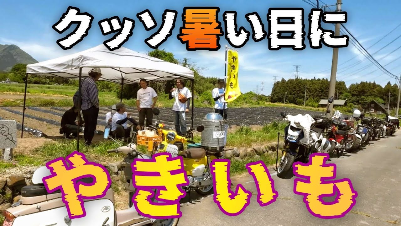 たどん A sweet potato vendor on a Super Cub motorcycle! Open for business
