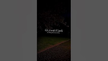 قران كريم #اكسبلور #تيك_توك #راحه_نفسيه #دويتو