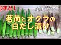 【絶品】茗荷とオクラの白だし漬け『漬けて当日食べられてメッチャ旨い!!』Let's eat season's food