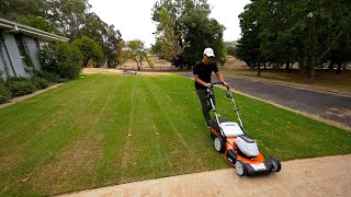 First Mow on My New Lawn // Ryegrass Overseed