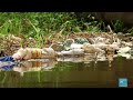 Au cameroun une association se mobilise face  la pollution du fleuve wouri