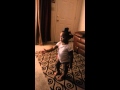 TOO FUNNY!!! One year old baby arguing