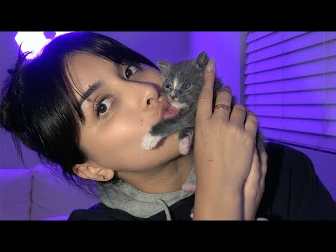 BABY KITTEN ASMR | bottle feeding, purring, and lots of kisses 🥹