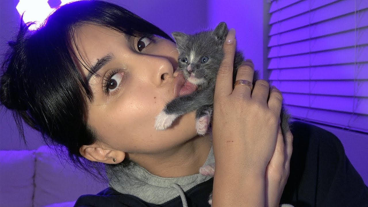 BABY KITTEN ASMR | bottle feeding, purring, and lots of kisses 🥹