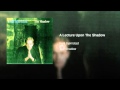 A Lecture Upon The Shadow