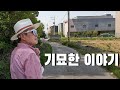 시세보다 비싸게 샀지만 더 비싸게 팔리고, 시세보다 싸게 사서 좋아했지만 본전 건졌다! 35년 투자자의 기묘한 이야기 | 굿프렌드 임장기 | 부동산 경매 |