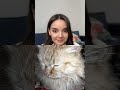 Cat Videos Shorts | Cat Sonya | Sonyakisa8 TT #cat #pets #catlover #funnycats #catmodel #catselfie