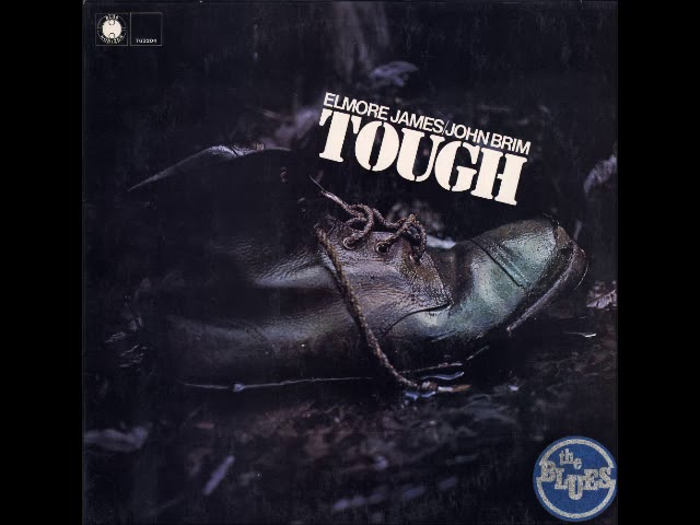 Elmore James & John Brim - Tough - 07 - You Got Me - YouTube