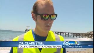 CSUCI Studies Beach Impacts From Oil Spill