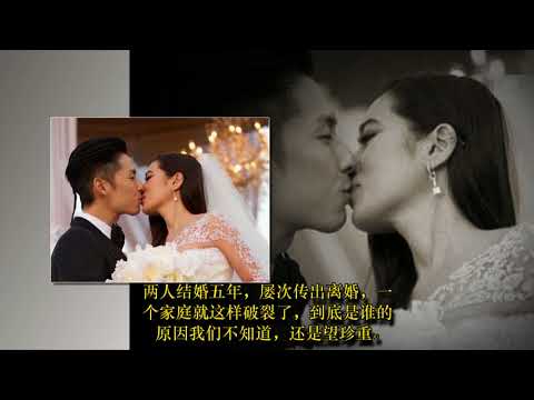 吴建豪与新加坡富商千金将结束5年的婚姻 Pinyin Lyrics