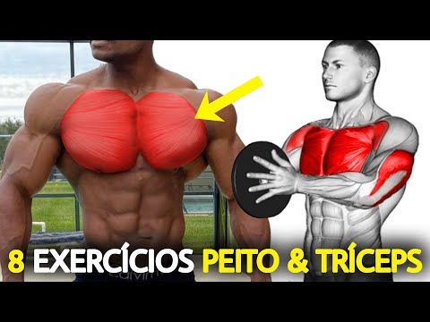 8 Exercícios Treino