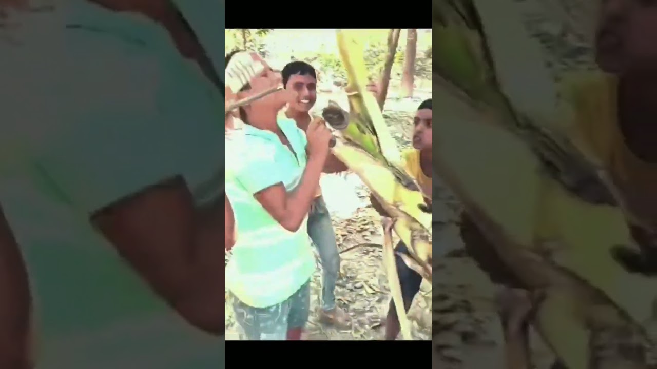 Oi kire modhu song #