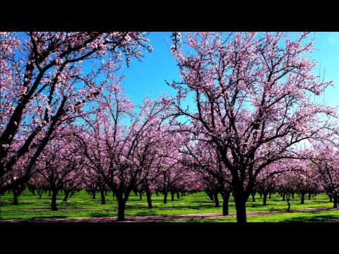 vivaldi-spring-(full-hd)-classical-music