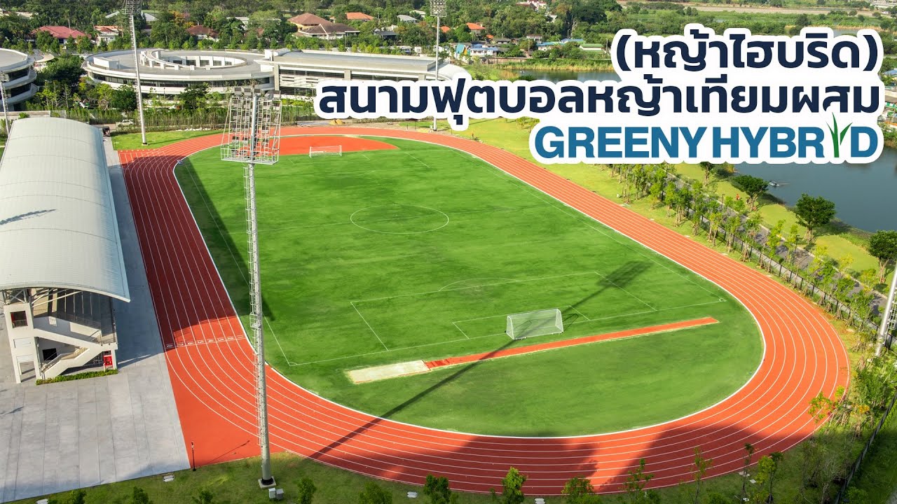 สนามบอลหญ้าเทียม  Update  สนามฟุตบอลหญ้าเทียมผสม - GREENY HYBRID (หญ้าไฮบริด)