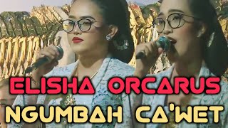 (Elisha) Ngubahi Cawet | Di colong Karo Dalange'