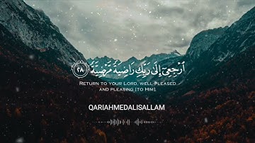 ساعة ونصف من أجمل التلاوات ❤️ | بصوت القارئ أحمد سلام | قران كريم