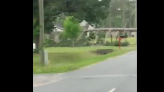 Tree down in Waycross, Georgia after severe weather