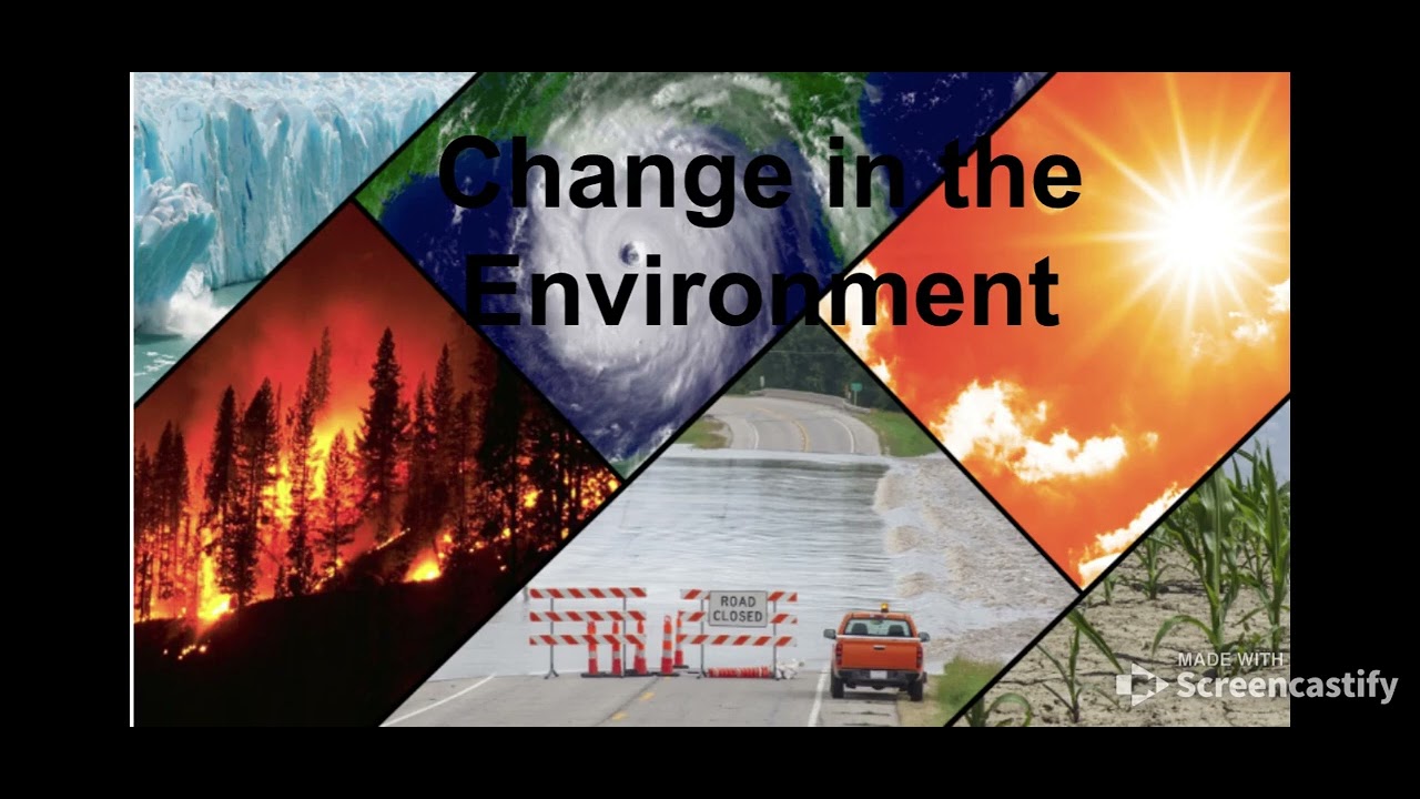 Change in the Environment - YouTube