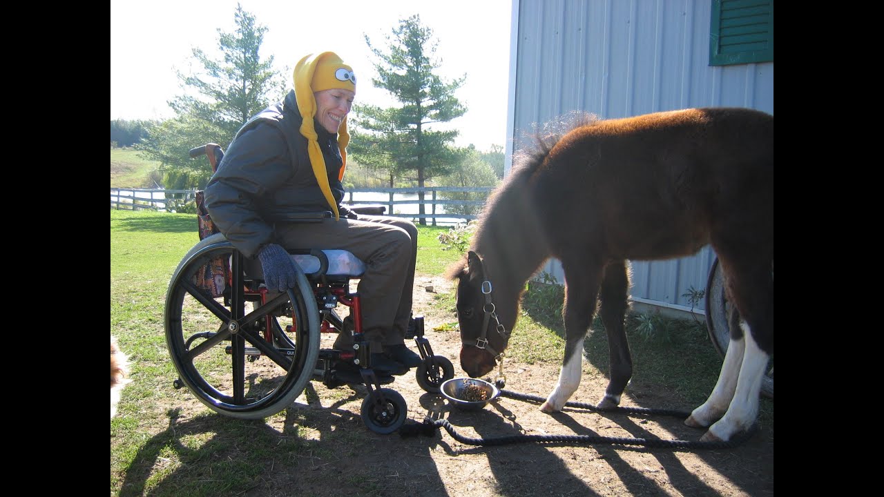 Equine Erin  -Horse Connection: Facilitated Equine Experiential Learning
