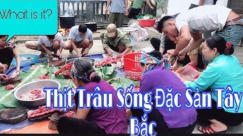THỊT TRÂU SỐNG MÓN ĂN ĐẶC SẢN TÂY BẮC/NGƯỜI TÂY BẮC