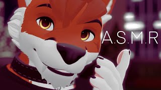 Cutie Shares The City Lights With You Furry Asmr