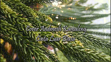 Cover Akustik Andmesh Kamaleng-CINTA LUAR BIASA