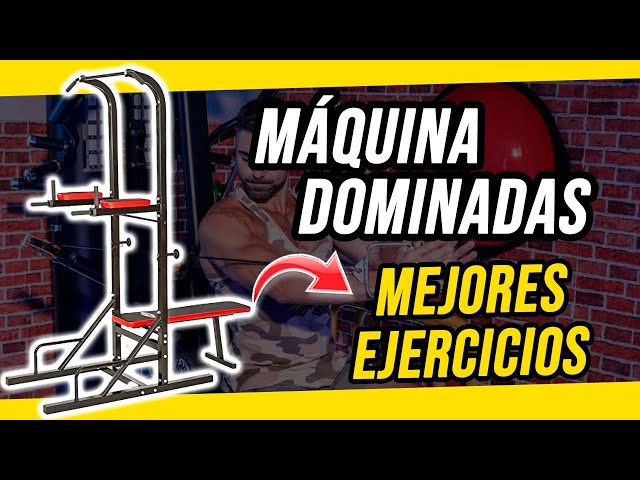 MÁQUINA DOMINADAS / FONDOS / ABDOMINALES / FLEXIONES DT