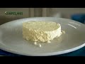 Producción de lácteos y cárnicos en la ciudadela ganadera del norte - TvAgro por Juan Gonzalo Angel